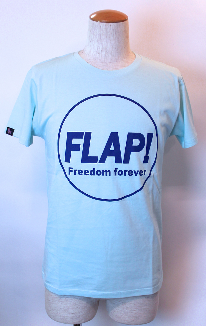 FLAP DESIGN FT-HELP!